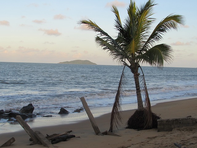 Quel paysage est emblématique de la Guyane ?