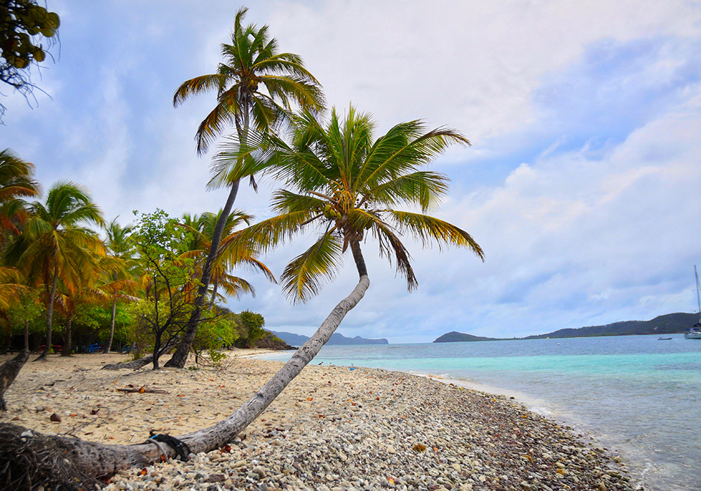 Surnoms et identité : Comment les habitants des Antilles se définissent-ils ?