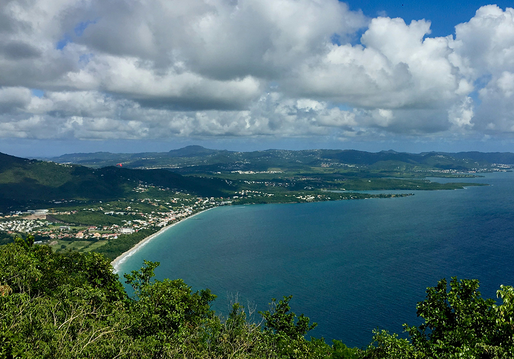 Martinique : Les secrets méconnus de son histoire naturelle.